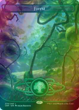 Forest (239) (Borderless)