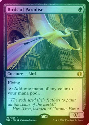 Oiseaux de paradis