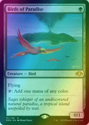 Oiseaux de paradis