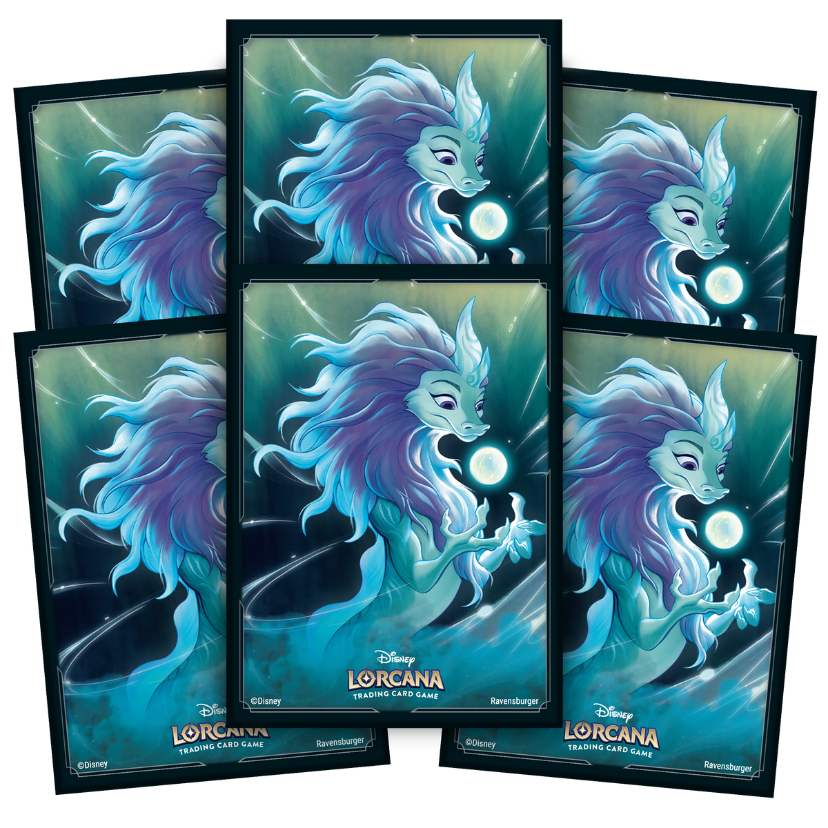 65 protège-cartes - Sisu