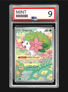 Shaymin 185/182