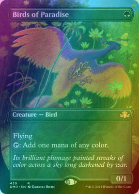 Birds of Paradise (Borderless)