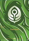 Calm Rune (Promo) 042b/298