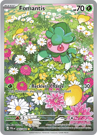 Fomantis 085/084